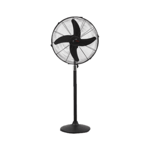 Royal Fan Pedestal Magnum 18"