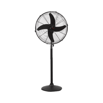 Royal Fan Pedestal Magnum 18"