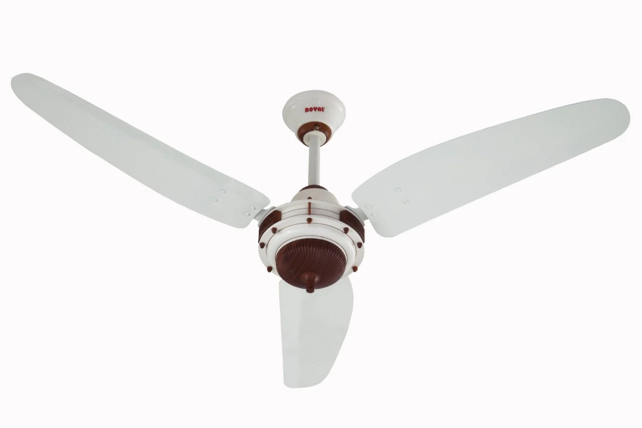 Royal Smart Crescent ACDC Ceiling Fan